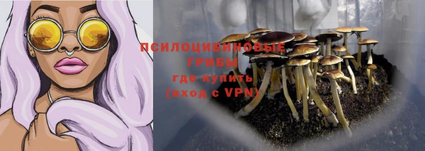 ешки Абаза